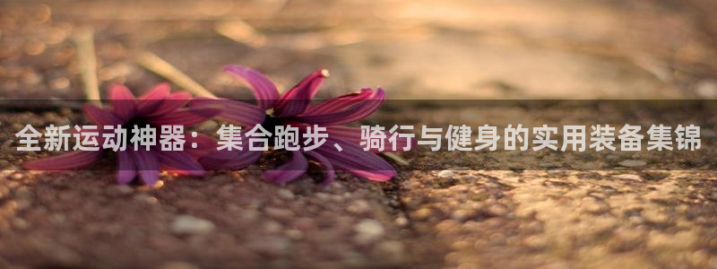 意昂4科技:全新运动神器:集合跑步、骑行与健身的实用装备集锦