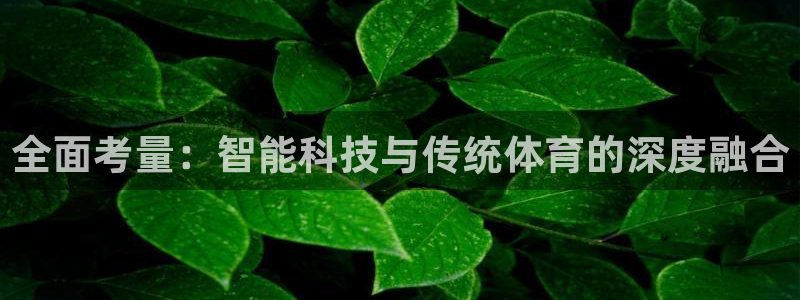 意昂体育4平台是正规平台吗:全面考量:智能科技与传统体育的深
